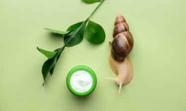 snail skin care